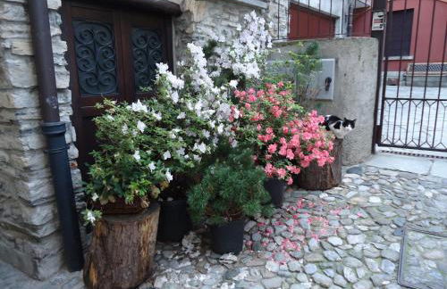 La Cà in piaza - Photo 16