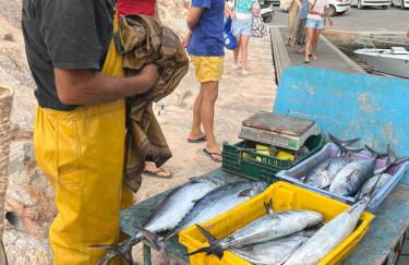 Villa Lilause - Foto 36