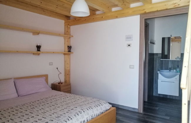 Viola nel Parco - Foto 35