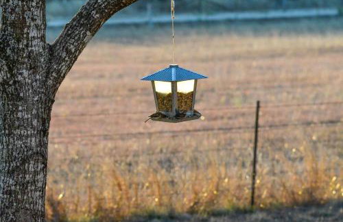 Serene Hill Country Wildlife Sanctuary with Porch - Photo 30
