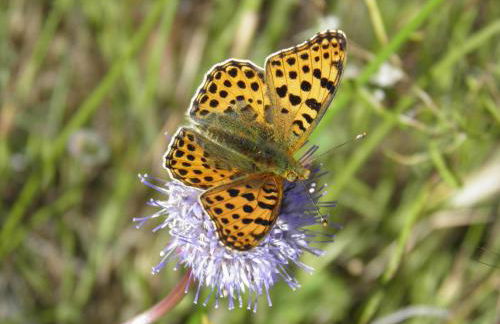 Casa Rural El Dolmen - Foto 14