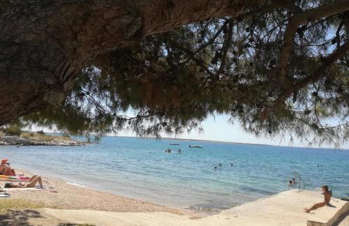 Apartmani Matošević, Pag-Košljun - Foto 8