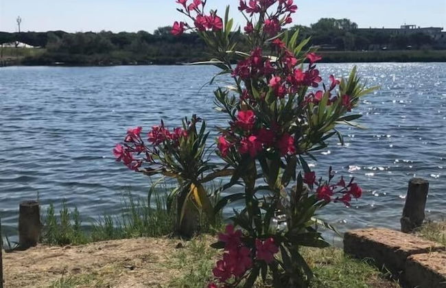 Agriturismo Quietovivere - Foto 20