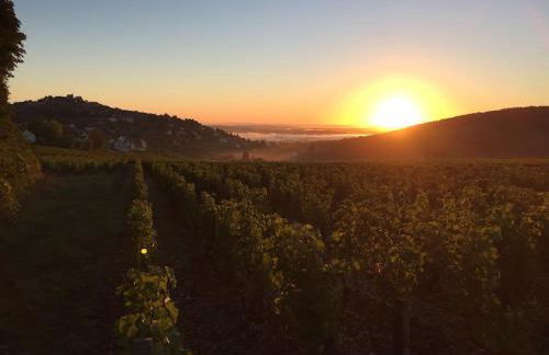 Le Piton - Appartements - Foto 41