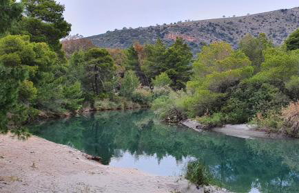 Villa Dunes 350m from the sandy beach - Foto 122