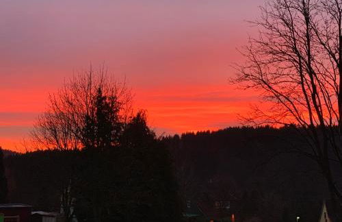 Harzstübl25 - Foto 63