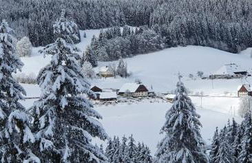 Schwarzwaldblick - Foto 10
