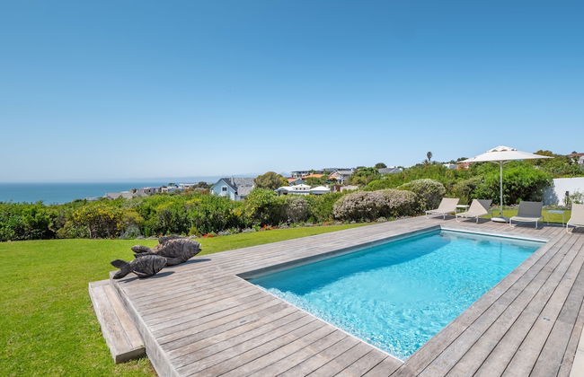 Pansy Shell - Photo 12