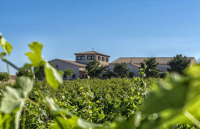 Visita a la bodega Mont Reaga - Foto 9