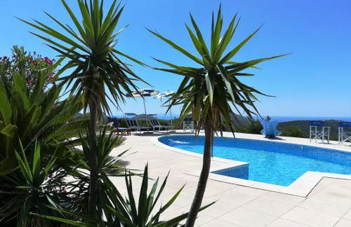 Saha tourist accommodation among olive trees and sea view - Foto 1