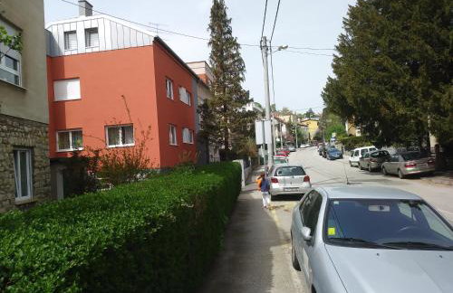 OLIVA 4 STARS - Photo 42