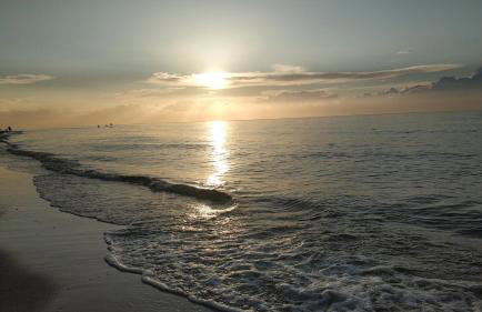 Blue Mare Rac - Foto 32