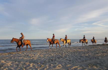 Siviero Apartments - Foto 51