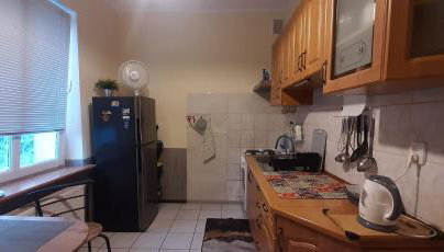 Kawalerka u Megi - Foto 3, stove, pet friendly, toaster