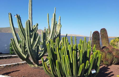 MarVillaFuerte - Foto 15