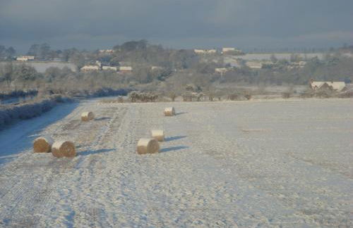 The Old Exchange - Photo 18