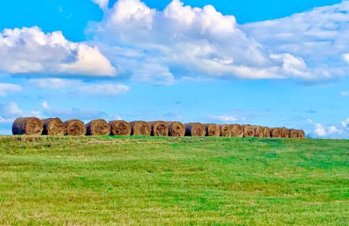 Mazurski dom Brejdyny Sauna i Bania - Foto 58