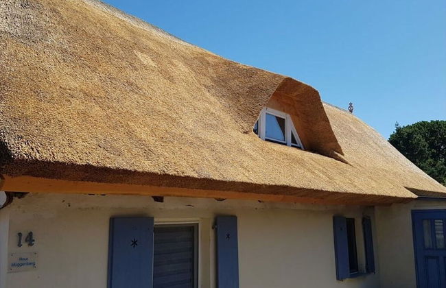 Katis Nest Comfortable Holiday Residence - Photo 30