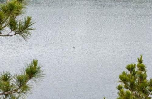 Large Home with lake views and space to entertain friends - Foto 23