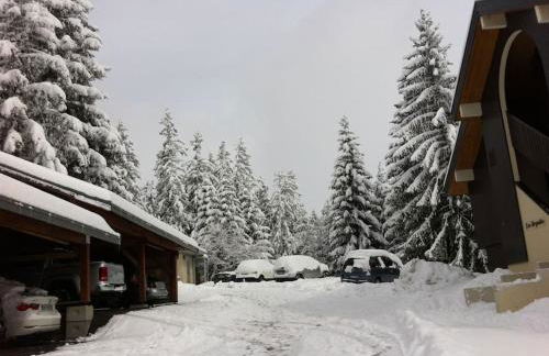 Apartment Manigod-L'Étale-La Clusaz skIs aux pieds - Foto 21