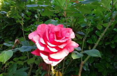 Porretta Holiday Home - Foto 33