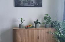 Z1 Apartment - Zentral mit Parkplatz am Objekt - Foto 15