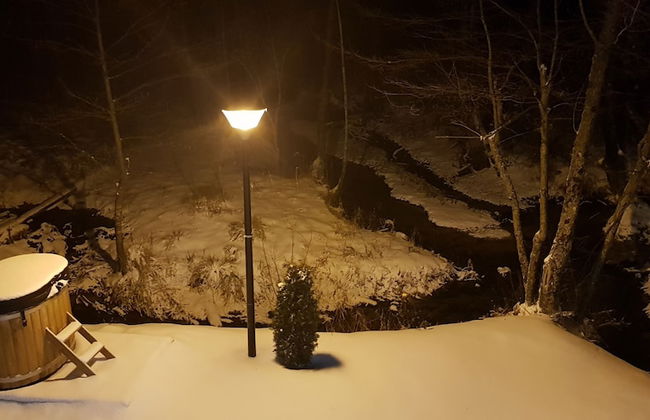 Vodenica Vrelo Chalets - Photo 48