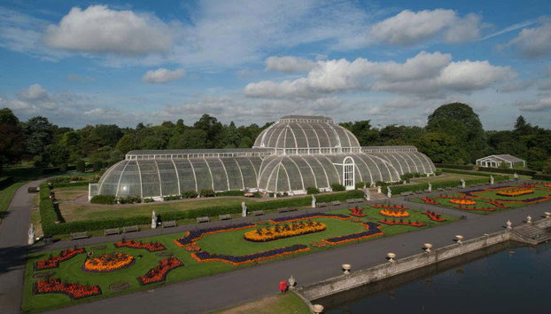 Entrada al Palacio de Kew y Real Jardín Botánico - Foto 5, Invernaderos del Real Jardín Botánico