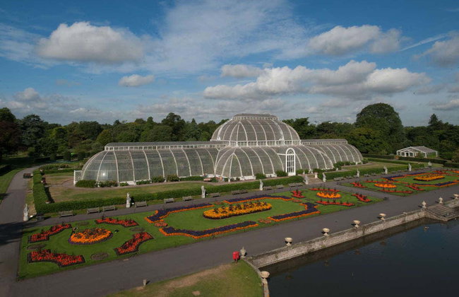 Entrada al Palacio de Kew y Real Jardín Botánico - Foto 5