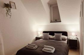 Apartment 1 nähe Rhein mit top Verkehrsanbindung - Foto 9