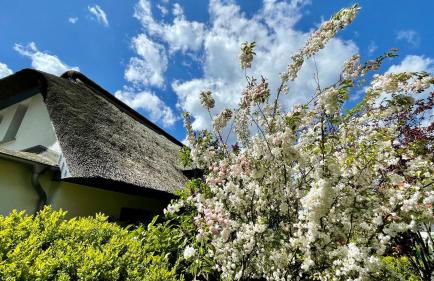 Ferienhaus Ankerherz - Foto 63
