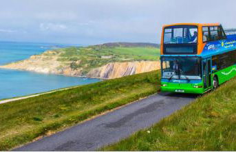 Bay - Brambles Chine, Colwell Bay - 5 star WiFi - Short walk to The Hut and beach - 1 night stays available - Ferry offers - Photo 35