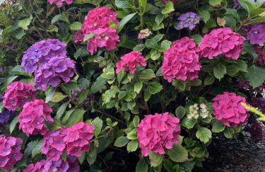 Galloway Farmstay Claunch - Foto 25