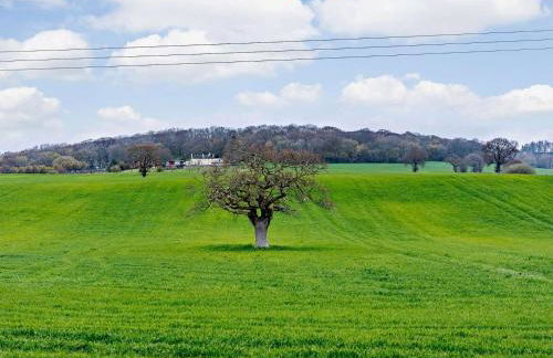 3 Bed in Ashford oc-54088 - Foto 29