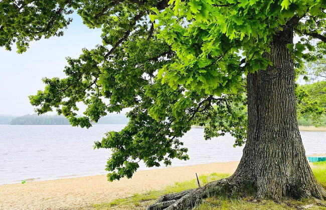 4 Person Holiday Home in Allingsas, Sverige - Foto 24