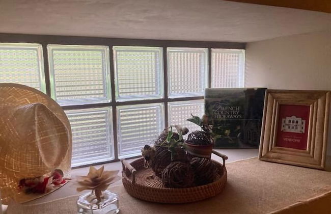 Domaine de la Vaudourière - Photo 4