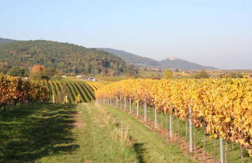 Ferienwohnung Spatzennest in Edesheim - Foto 24