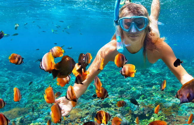 Snorkelling in Bali - Photo 1