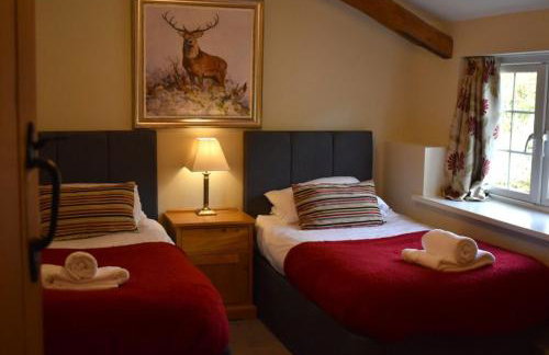 Penuwch Fach - Foto 8