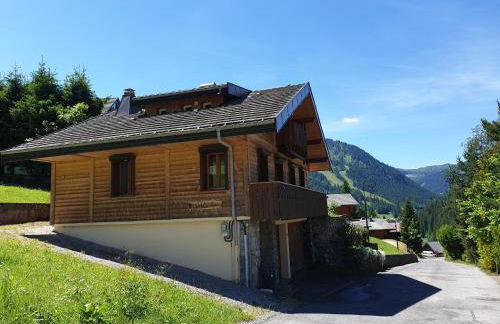 Chalet le Petit Ramoneur - Foto 54