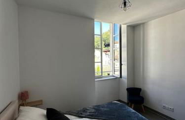 3 pièces spacieux plein centre, parking,clim, terrasse, jardin - Foto 15