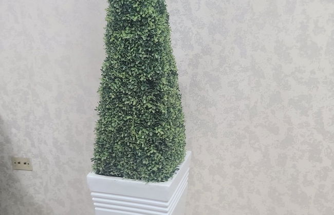 Céntrico con Jacuzzi privado - Foto 17