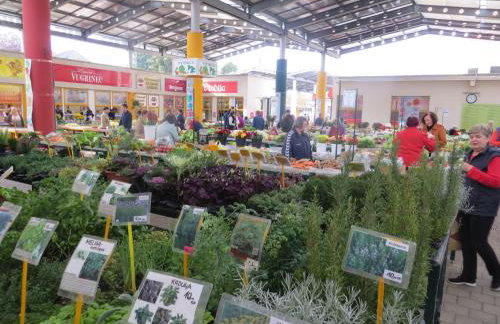 OAK COTTAGE - Foto 30