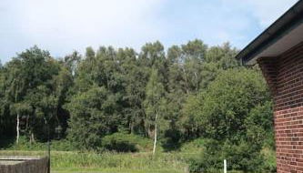 Ferienwohnung in idyllischer Lage - Foto 2