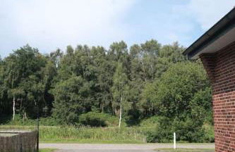 Ferienwohnung in idyllischer Lage - Foto 2