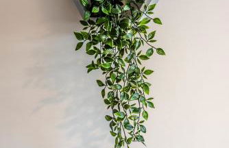 3 Bed Spacious Stylish House, Southampton - Off Road Parking & Private Garden - Sleeps 7, Close to City Centre - by Blue Puffin Stays - Photo 22