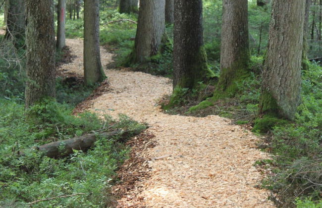 Kreuzwiesen Comfortable Holiday Residence - Foto 19