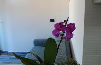 Sailor's House Porto Cervo - Photo 7