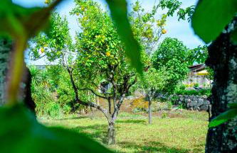 Casa da Guarda de Fora - Foto 63