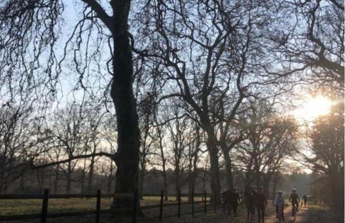 Gîte à la campagne 1 chambre Les Grandes Maisons Espace jacuzzi hammam SPA - Photo 14